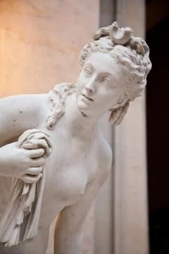 Venus Stock Photos