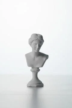 Venus plaster with a white background Stock Photos