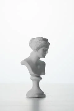 Venus plaster with a white background Stock Photos