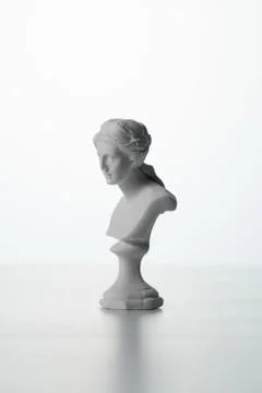 Venus plaster with a white background Stock Photos