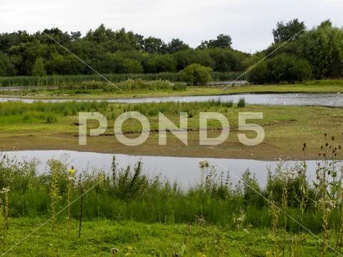 Venus pools, Stock Photos