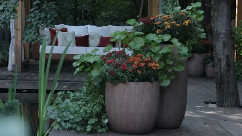 Veranda with garden swing is decorated with fall decor and chrysanthemums 스톡 동영상 282201167