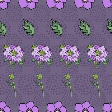 Verbena vector seamless pattern illustration, purple background Stock Illustration