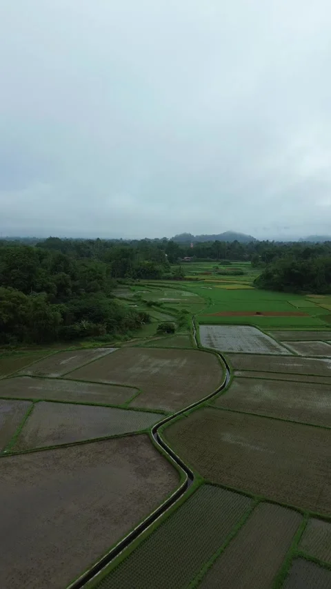 Verdant Agricultural Patchwork Nestled Among Dense Forests and Distant High.. Video stock 337279931