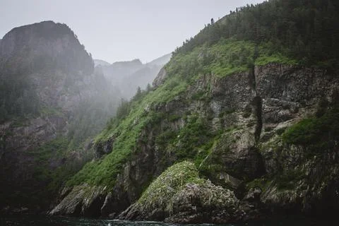 Verdant Alaskan Cliffs Stock Photos