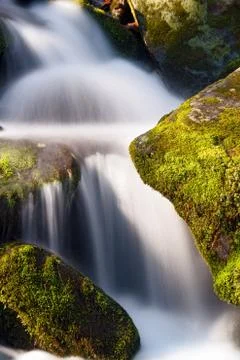 Verdant Cascade Stock Photos