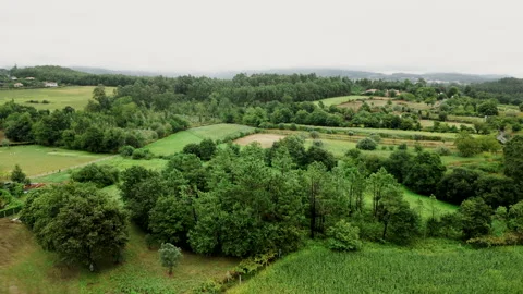 Verdant Countryside Patchwork From Above. Aerial Video stock 255920035