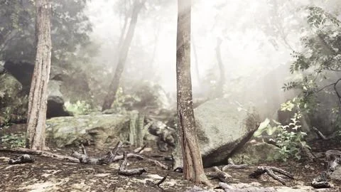 The verdant forest glows under the warmth of the sun Stock Illustration