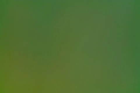 Verdant Gradient Elegance A Serene Blend of Green Tones for Calm Visuals an.. Stock Photos