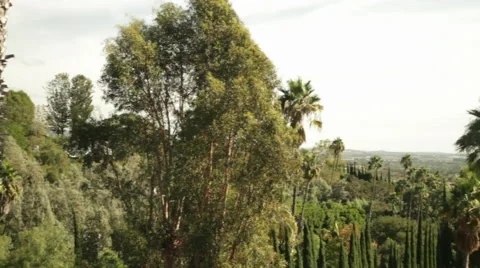 Verdant Horizon Stock Footage 40811646