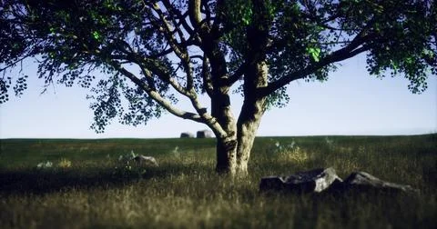 Verdant landscape with a lone tree under a clear blue sky during daytime Stock Illustration