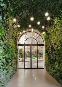 The Verdant Passage Stock Photos