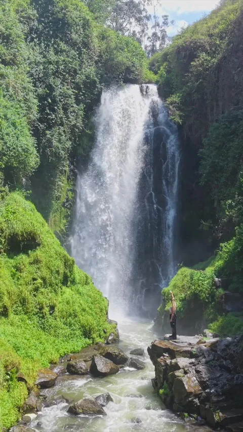 Verdant rainforest framing powerful waterfall, blonde woman practicing yoga pose Stock Footage 308397129