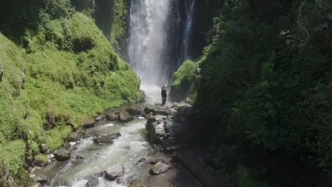 Verdant rainforest framing powerful waterfall cascading through Ecuadorian Stock Footage 308423538