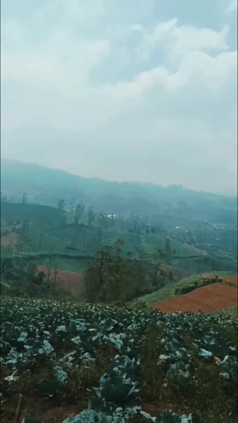 Verdant Slopes: A Study in Green Stock Footage 277464479