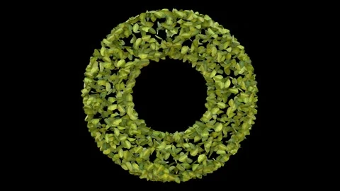 Verdant Spin Video stock 297102028