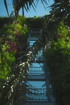 Verdant Staircase Stock Photos