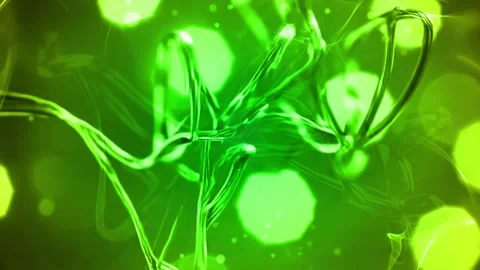 Verdant Tangle Stock Footage 311830668