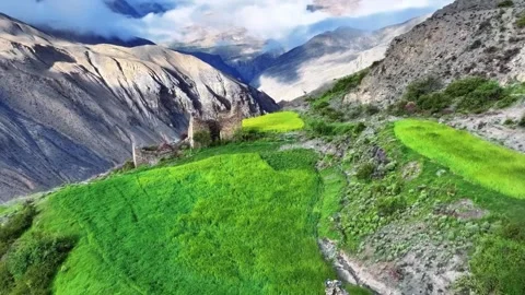 Verdant Terraced Fields and Ancient Stone Structures in Tibet China 動画素材 346737988