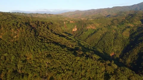 Verdant valley with dense forest and rugged terrain under a clear blue sky on a Stock Footage 316924156