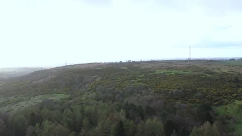 Verdant Vista Harmony Stock Footage 271249050