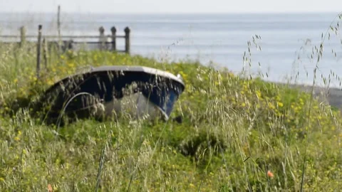 Verdant waterfront Stock Footage 152236718