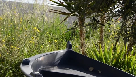 Verdant waterfront Stock Footage 152236743