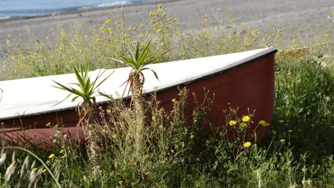 Verdant waterfront Stock Footage 152236816