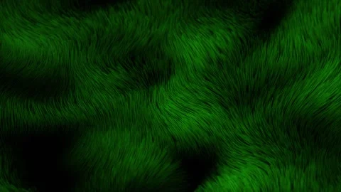 Verdant Weave Luminous Grass in Oscillating Drift Loop Animated Stock Footage 313141821