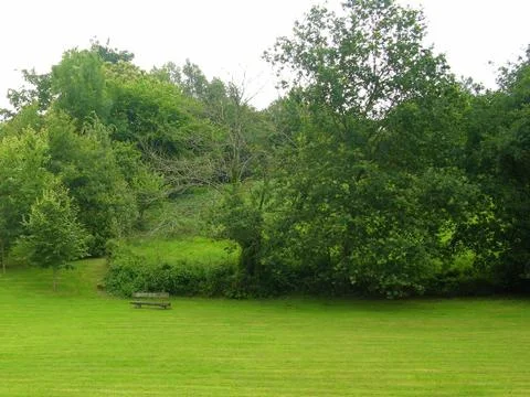 Verde prado Stock Photos