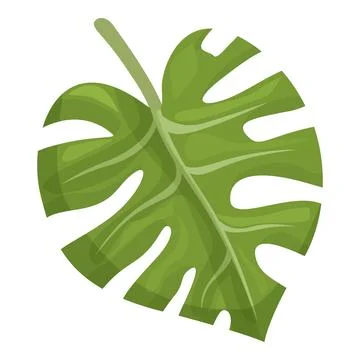 Verdure monstera icon cartoon vector. Foliage fashion Stock Illustration