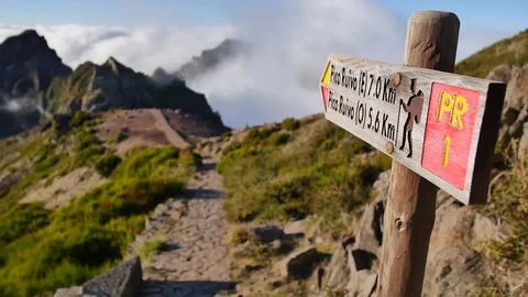 Vereda do Areeiro, Madeira. Stock-Footage 103461343