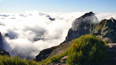 Vereda do Areeiro, Madeira. Видео 103461357