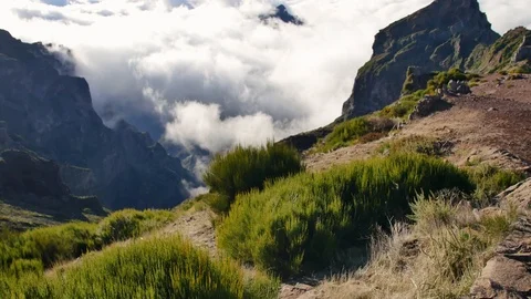 Vereda do Areeiro, Madeira. 库存影片 103461395