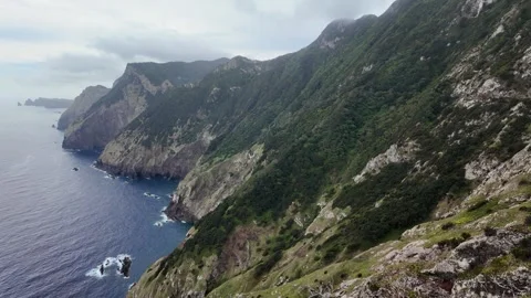 Vereda do Larano hike, Madeira island, Portugal. 库存影片 301396154