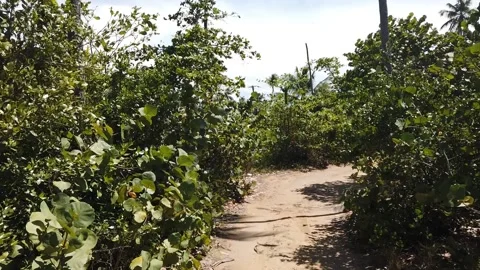 Vereda playa. Beach Vidéo 134108808