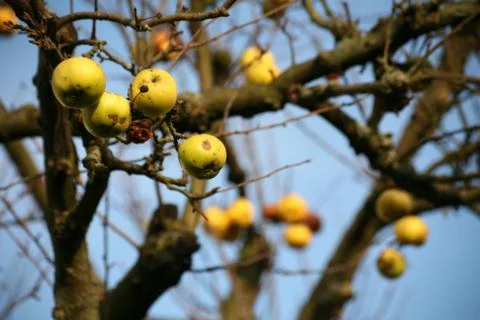 Vergessen? Stock Photos