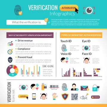 Verification Infographics Set Stock Illustration