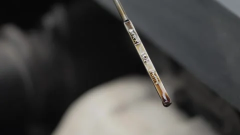 Verifying the Engine Oil Level Using a Dipstick Tool for Accurate Maintenance Stock Footage 309695975