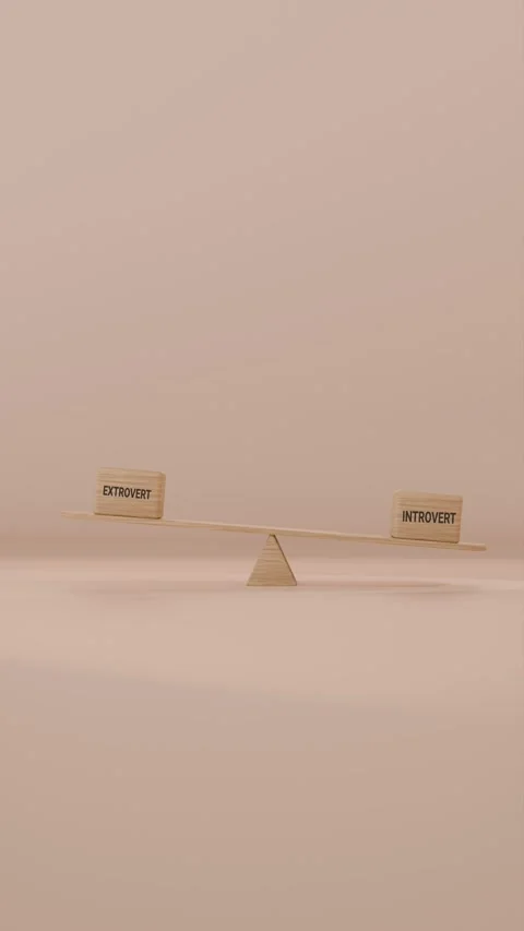 VERITCAL VIDEO OF EXTROVERT AND INTROVERT BALANCING ON SEESAW 스톡 동영상 299191080