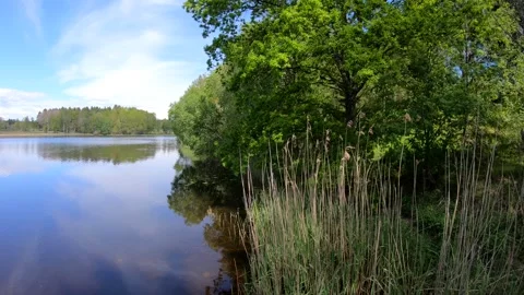 Verkasjön, Skåne, Sweden Stock-Footage 220563817
