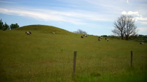 Verkasjön, Skåne, Sweden Stock-Footage 220563827
