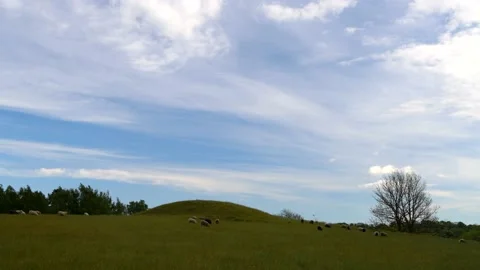 Verkasjön, Skåne, Sweden Stock-Footage 220563855