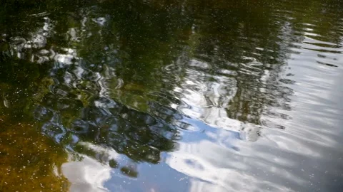 Verkasjön, Skåne, Sweden Stock-Footage 220563905