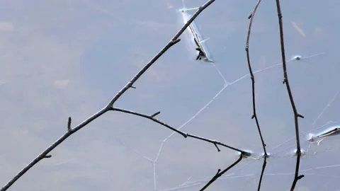Verkasjön, Skåne, Sweden Stock-Footage 220564323