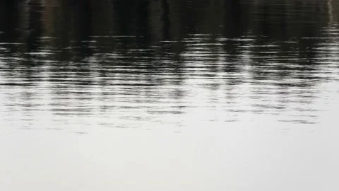 Verkasjön, Skåne, Sweden Stock-Footage 220564371