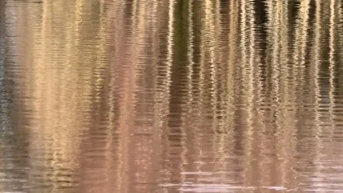 Verkasjön, Skåne, Sweden Stock-Footage 220564420