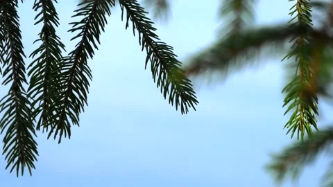 Verkasjön, Skåne, Sweden Stock-Footage 220564422