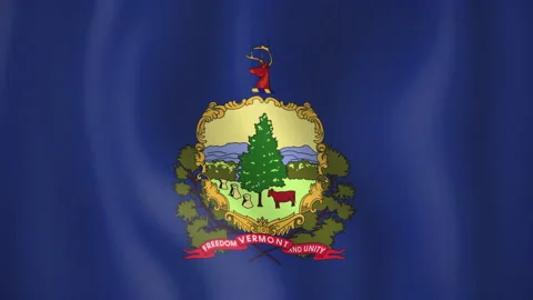 Vermont animated flag. Seamless loop. 4K Stock-Footage 145394393