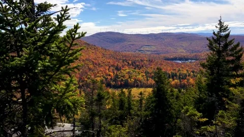 Vermont autumn vista Stock Footage